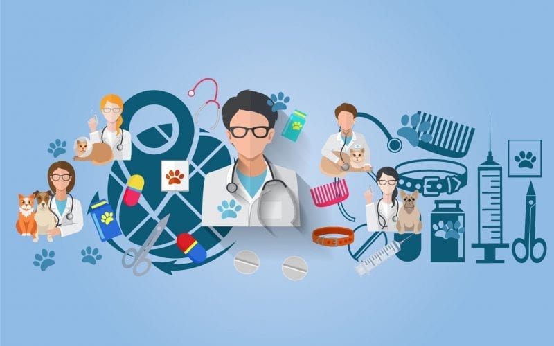 Veterinary Colleges