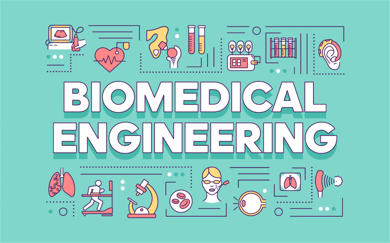 Biomedical Engineering Colleges