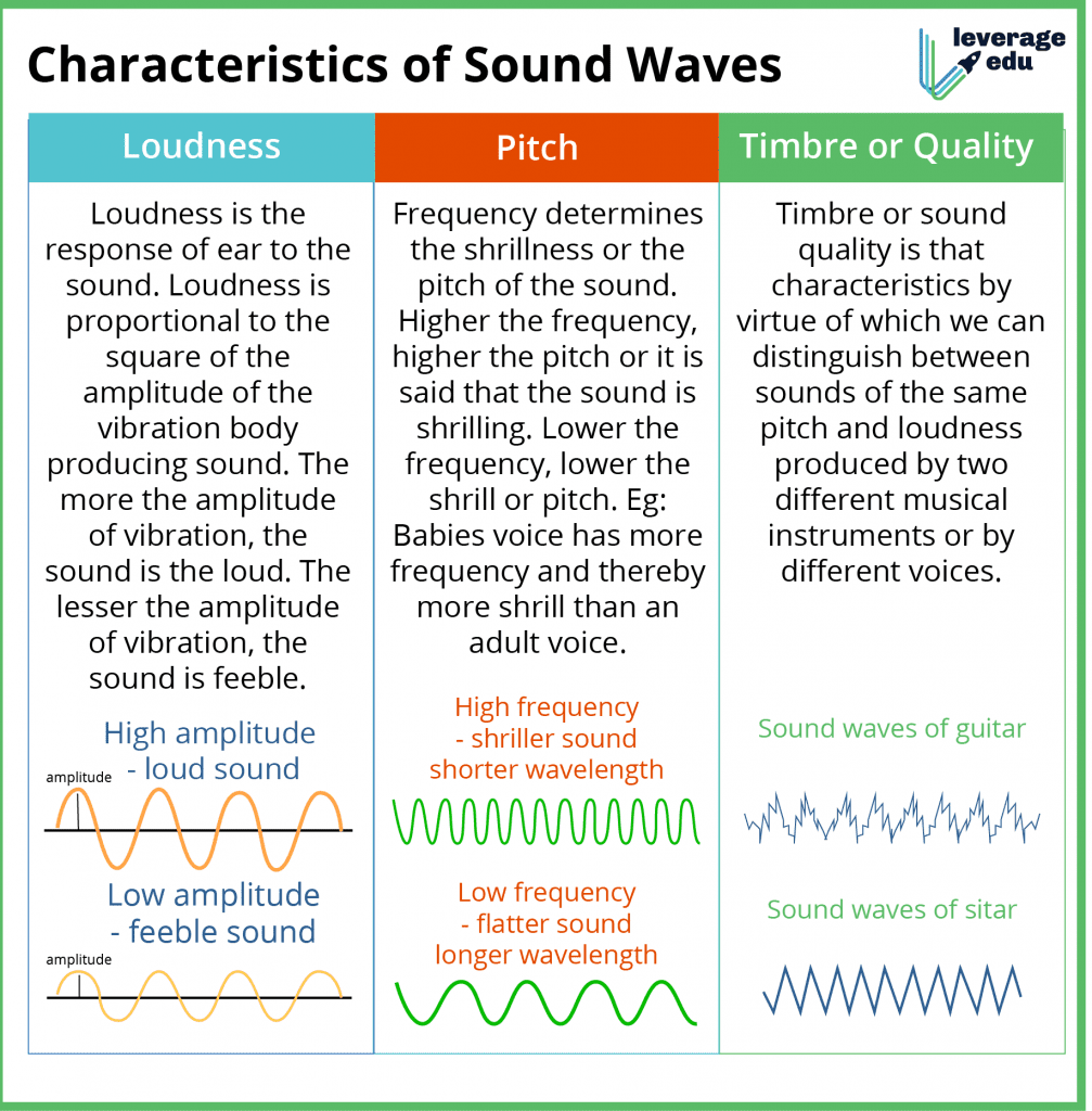 assignment on sound class 9