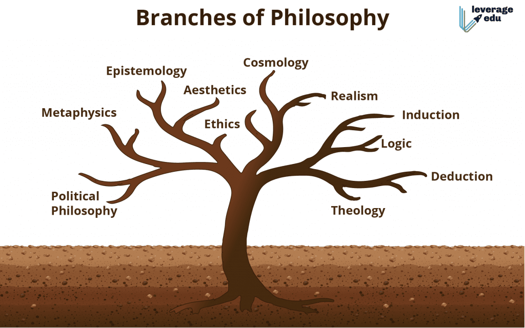 Scope Of Philosophy Leverage Edu