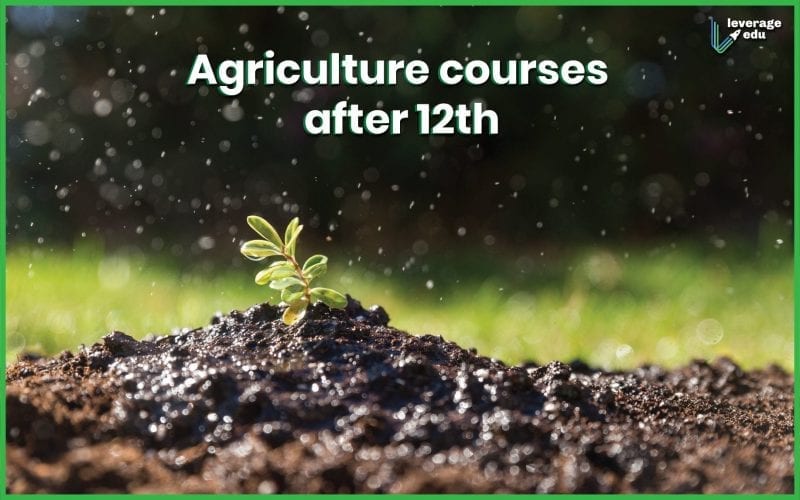 Agricultural Courses after 12th