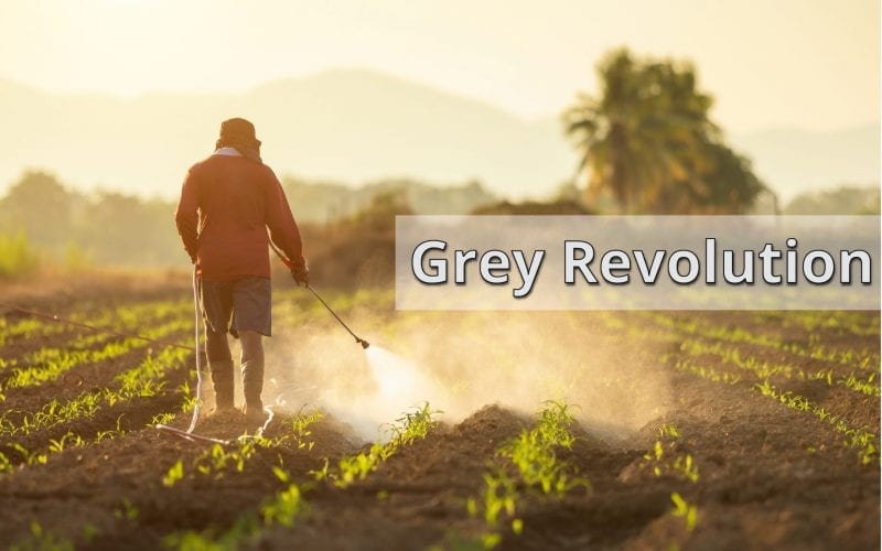Grey Revolution