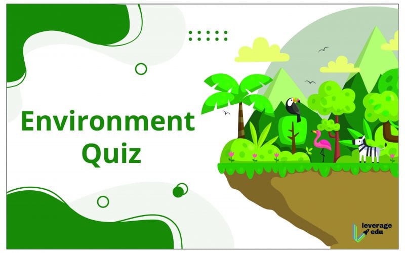 Environment Quiz